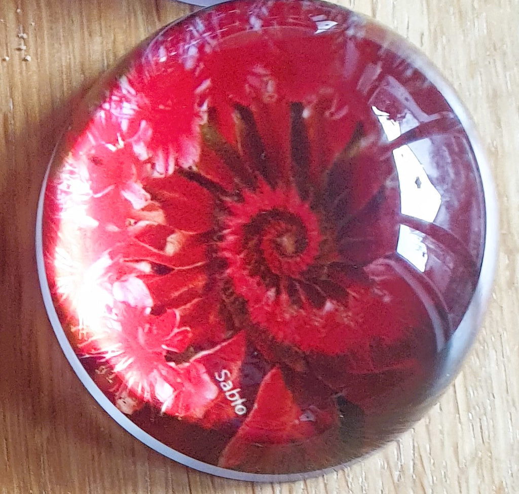 Kugel Red Chestnut - rote  Rosskastanie